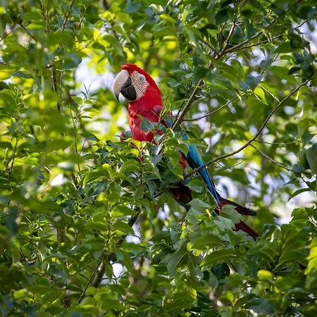 Ben's - De Hollandse Boerderij Bodegraven