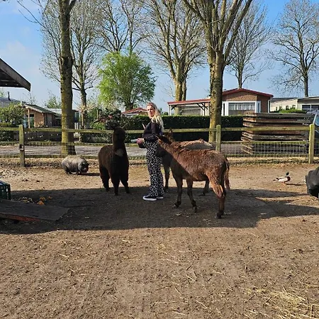 Ben's - De Hollandse Boerderij Bodegraven