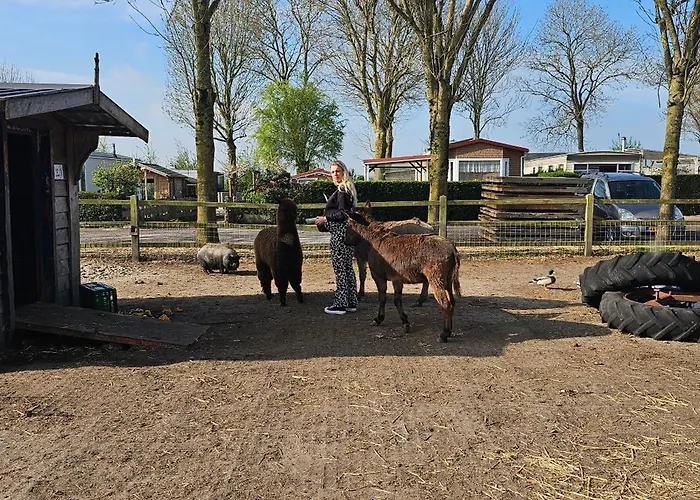 Ben's - De Hollandse Boerderij Bodegraven